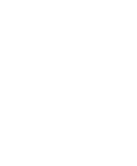 Berke Consulting Inc.